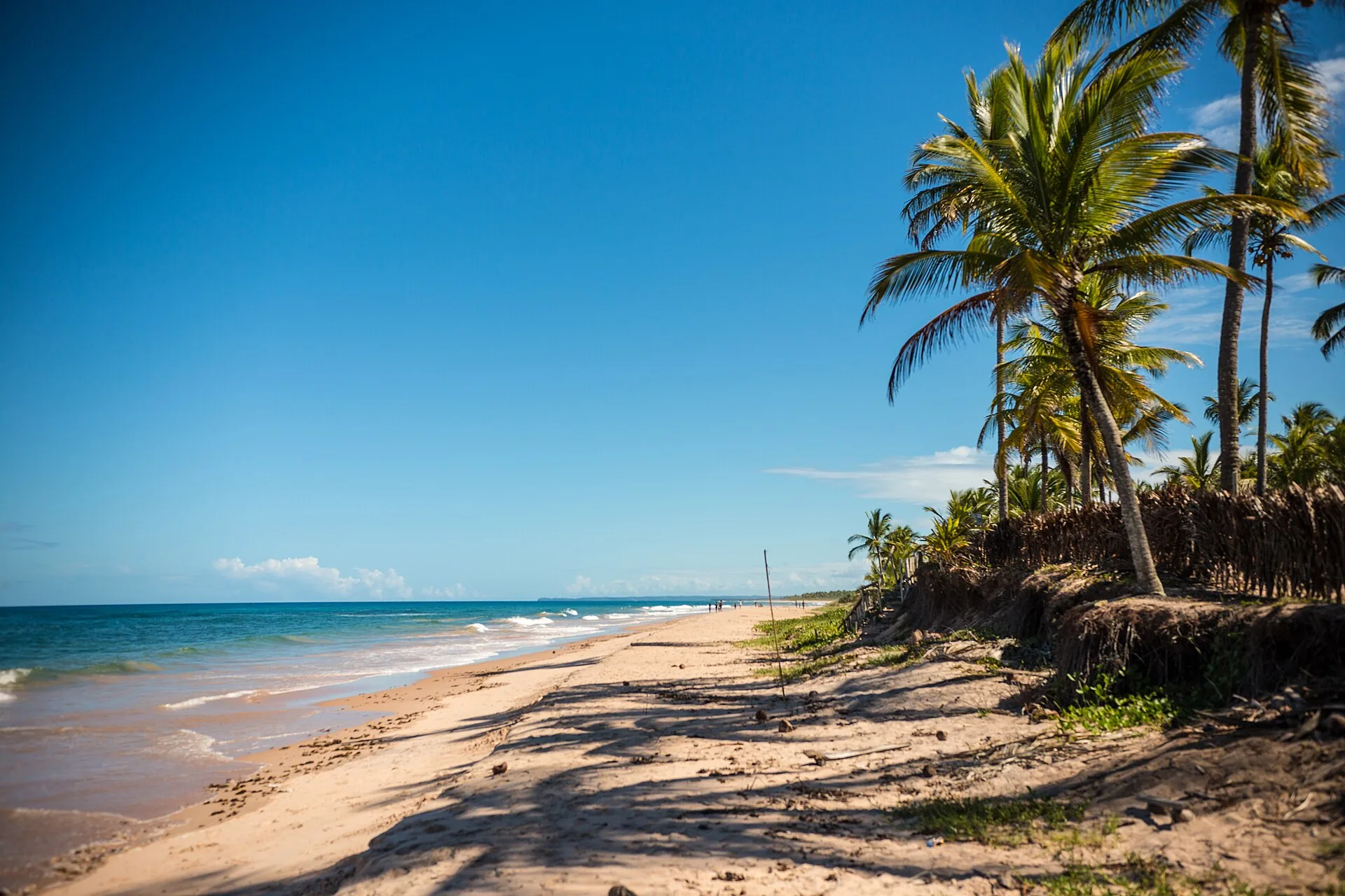 Landscape in Maraú, Bahia