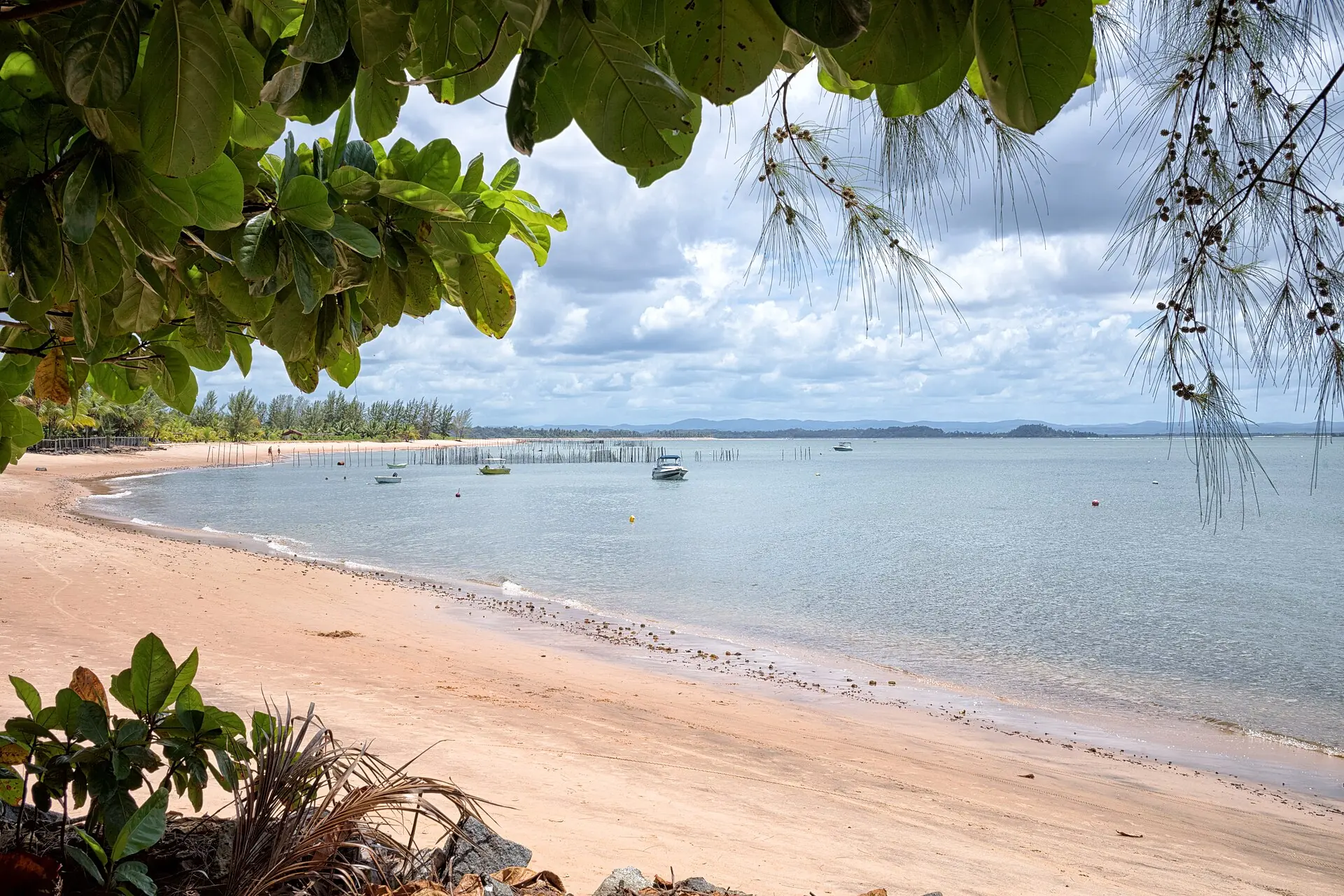 Landscape in Maraú, Bahia