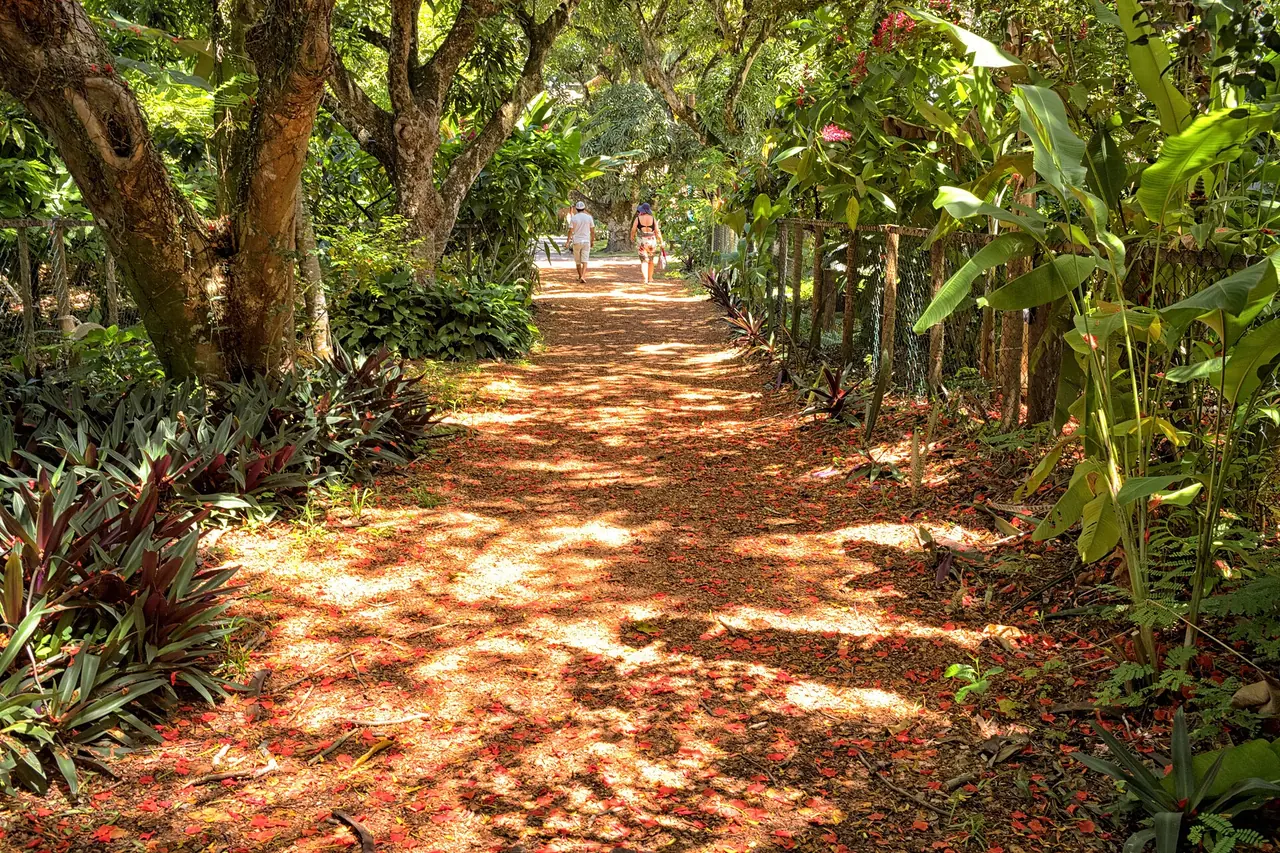 Landscape in Maraú, Bahia