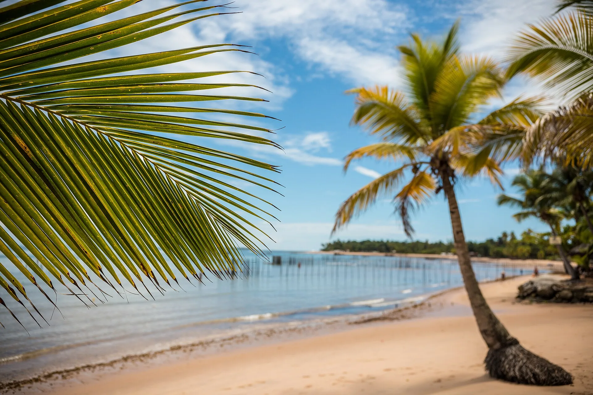 Landscape in Maraú, Bahia