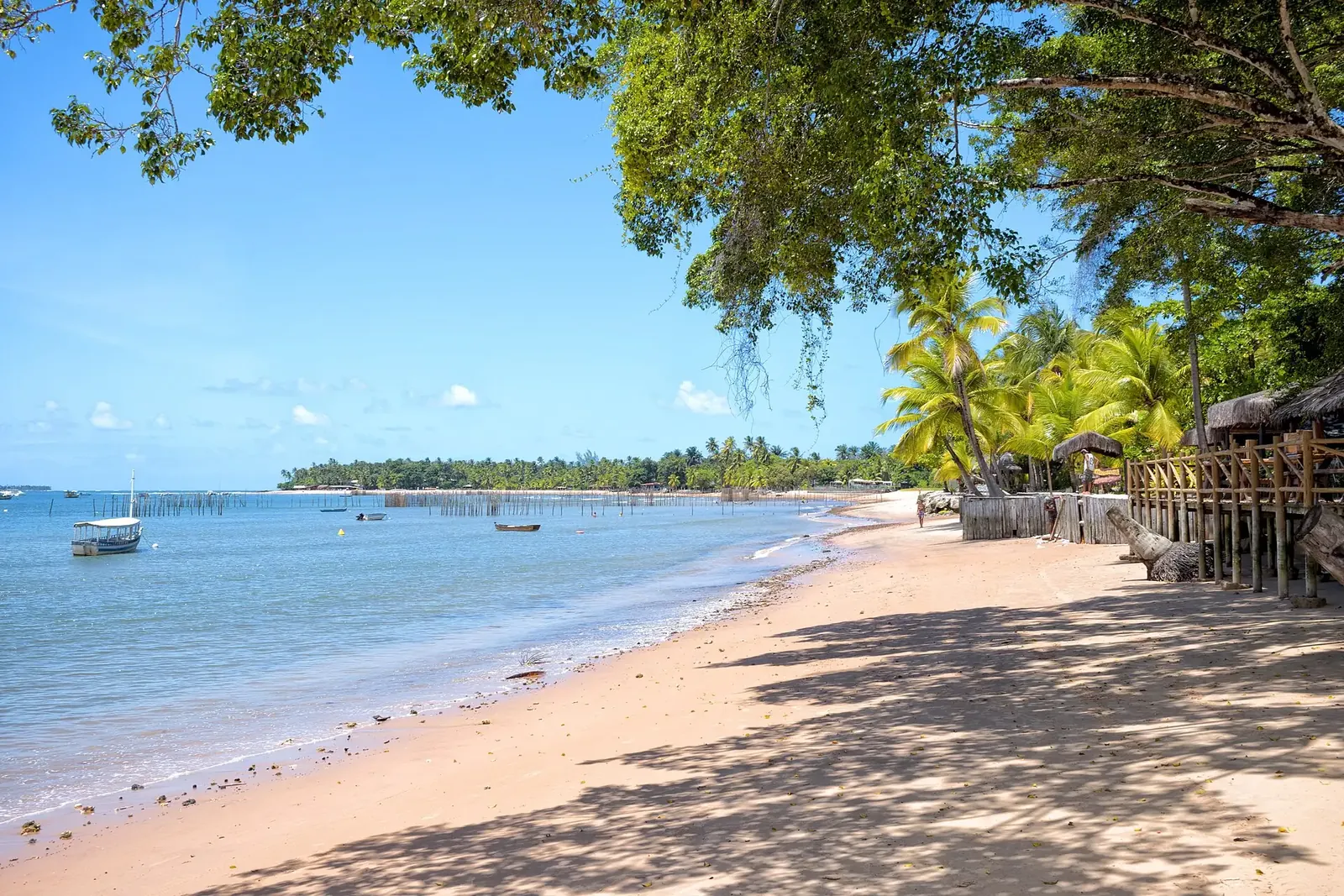 Landscape in Maraú, Bahia