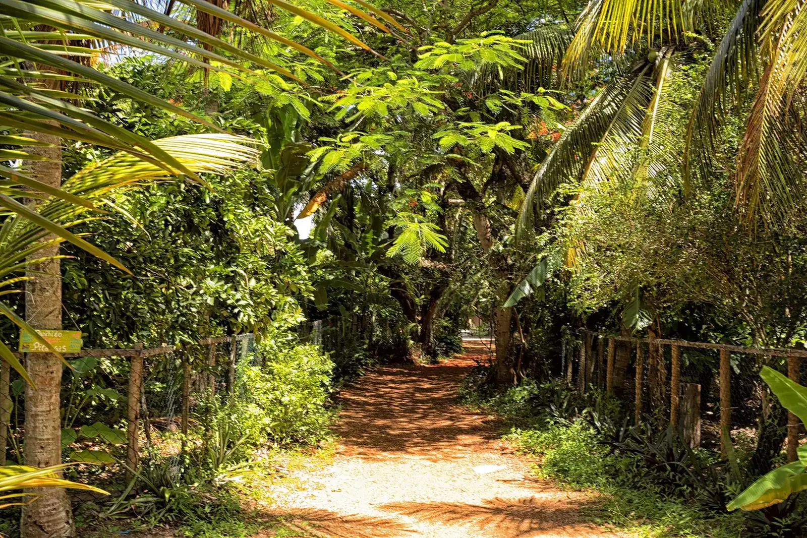 Paisaje en Maraú, Bahía