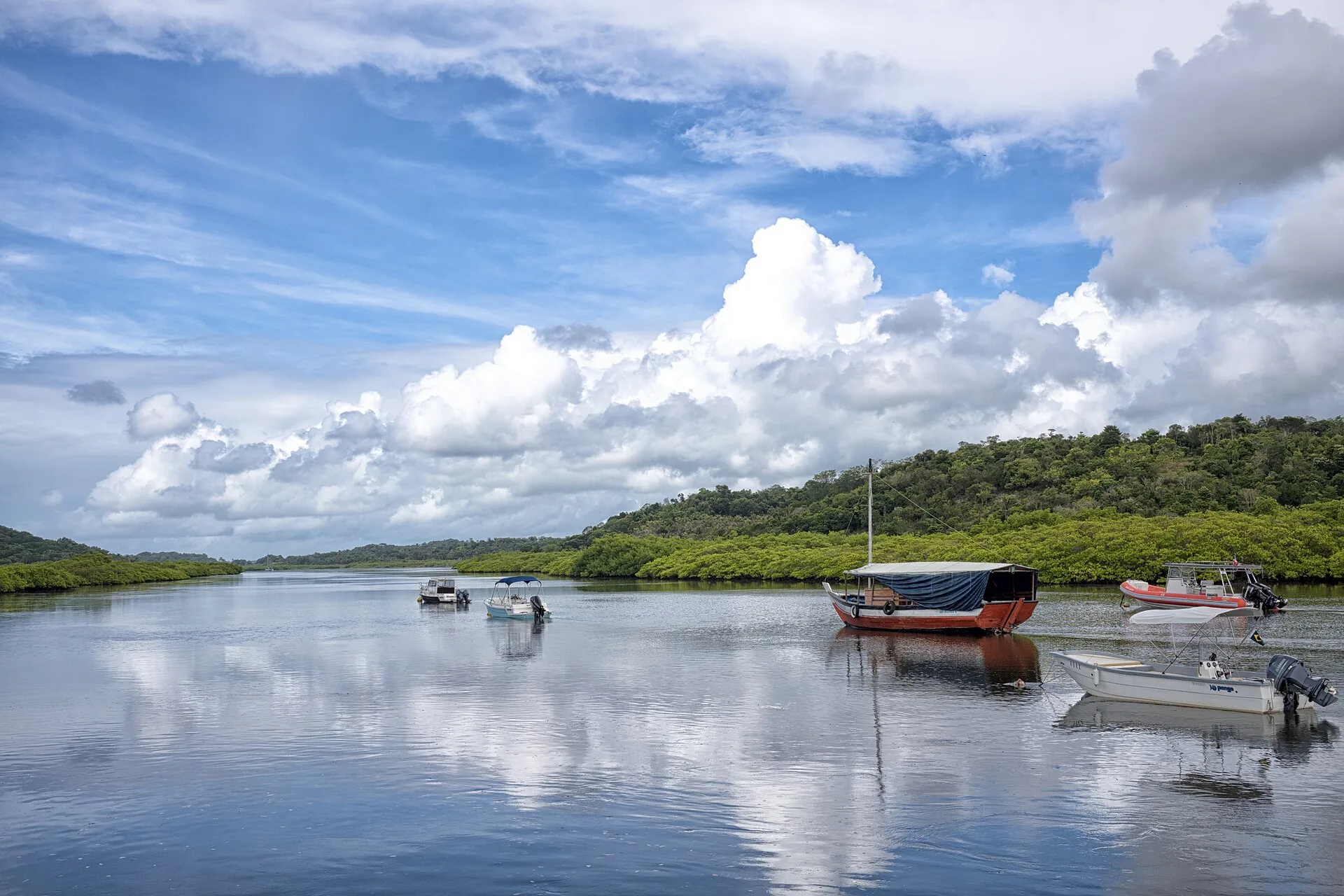 Landscape in Maraú, Bahia
