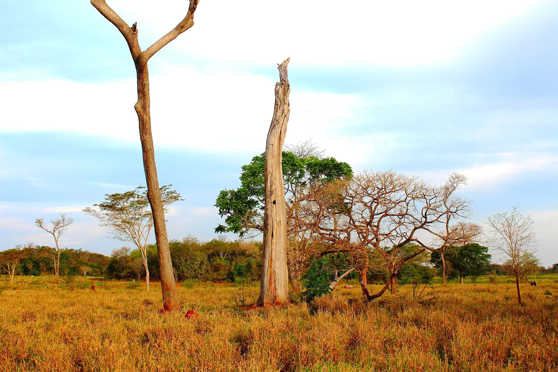 Paisagem