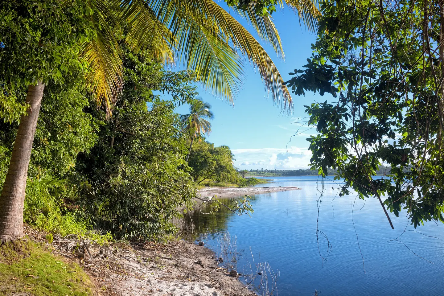 Landscape in Maraú, Bahia