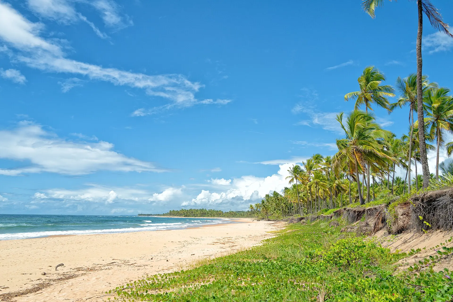 Praia da Península de Maraú, com coqueirais e mar aberto