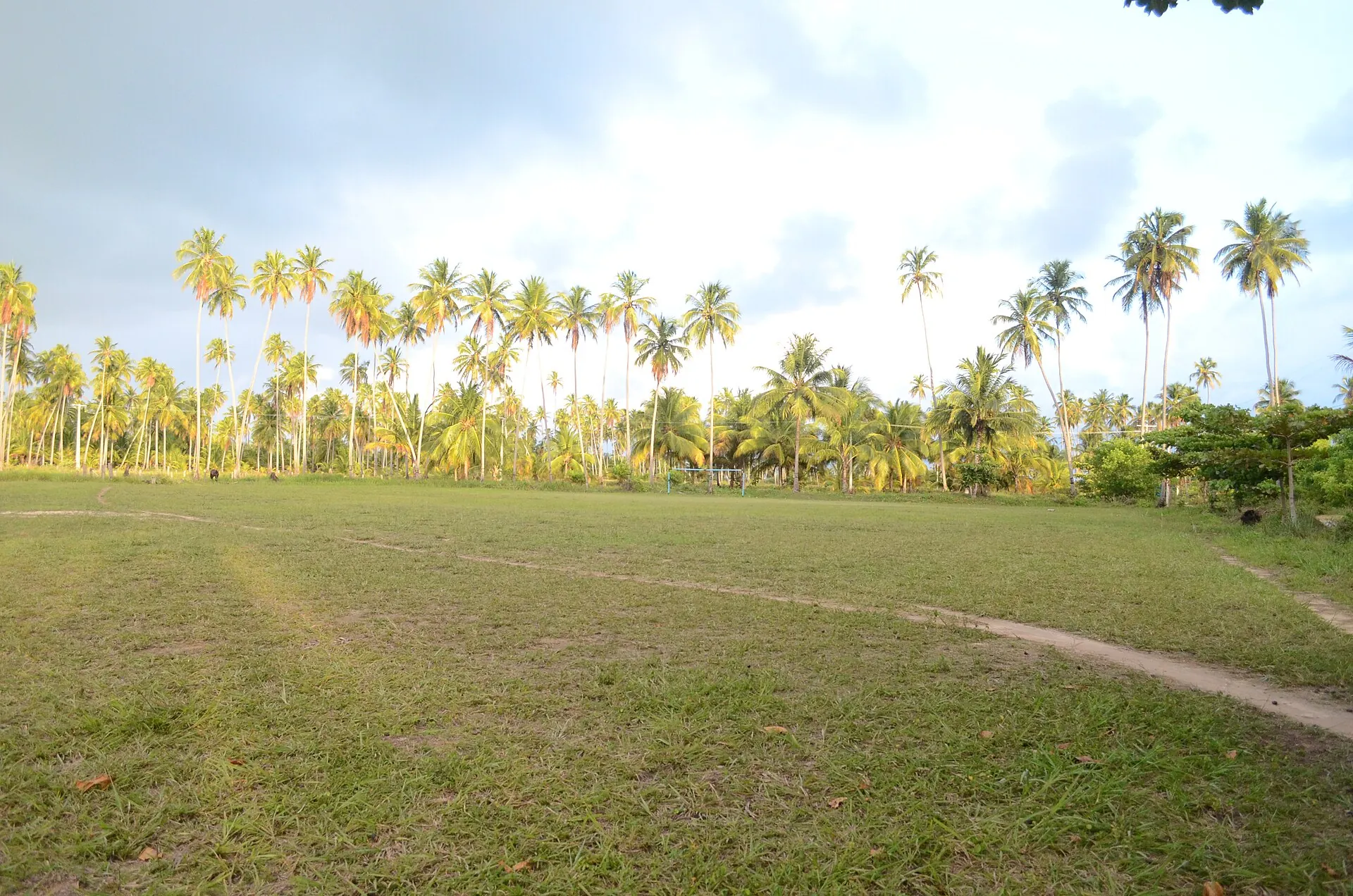 Paisagem em São Miguel dos Milagres, Alagoas
