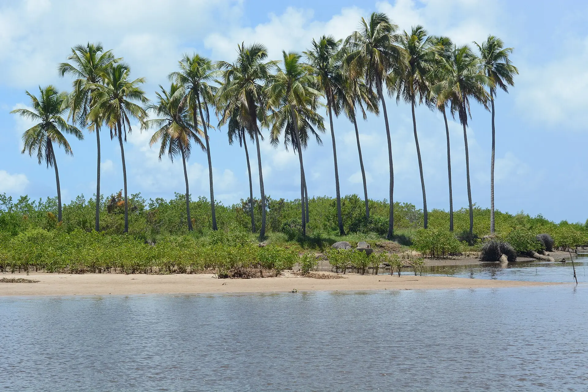 Paisagem em São Miguel dos Milagres, Alagoas