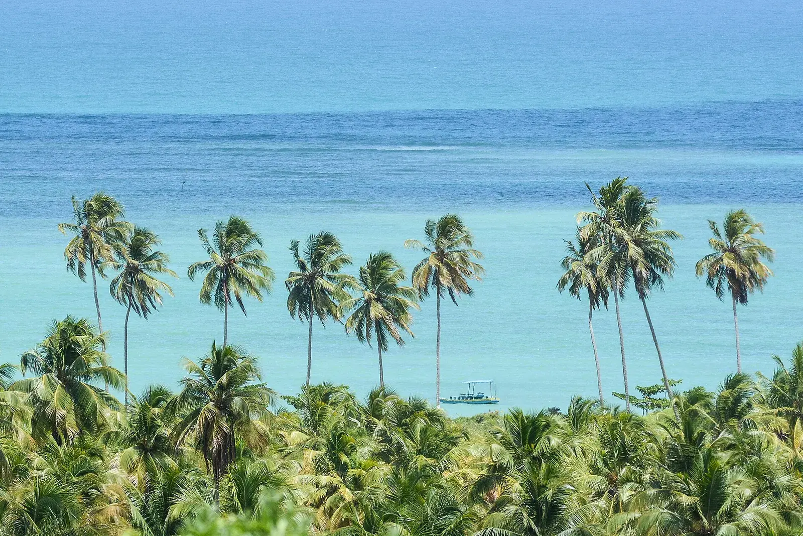 Landscape in São Miguel dos Milagres, Alagoas