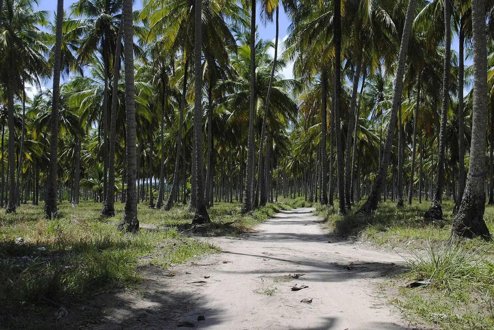 Paisagem