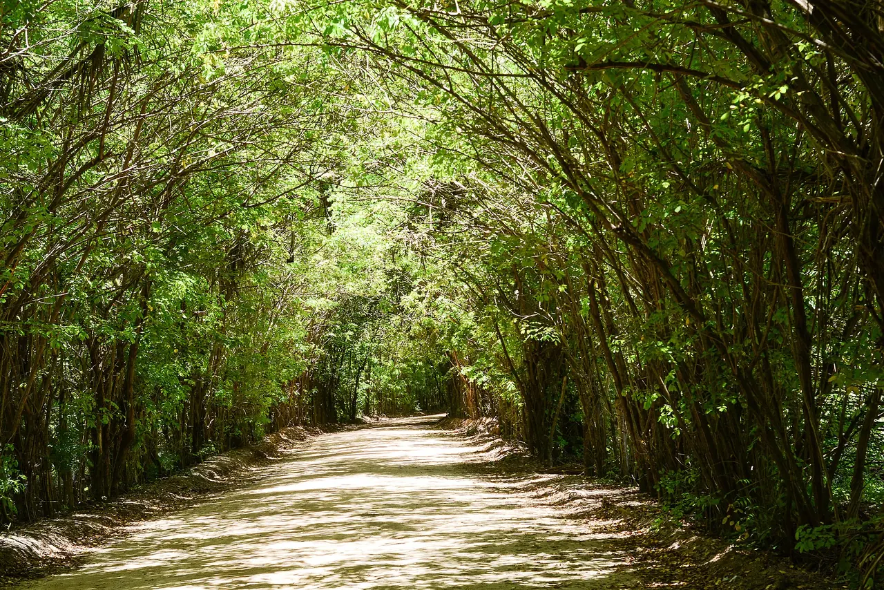 Paisagem