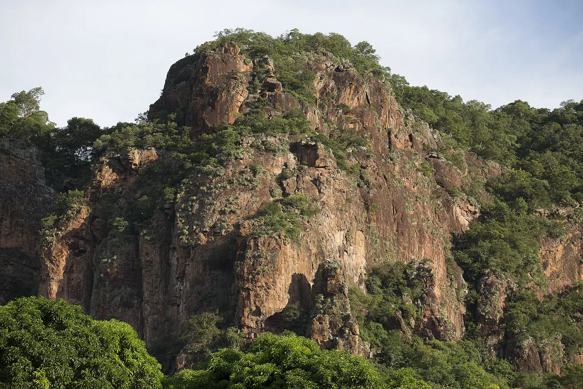 Paredão de arenito coberto de mata na Serra de Maracaju, Mato Grosso do Sul