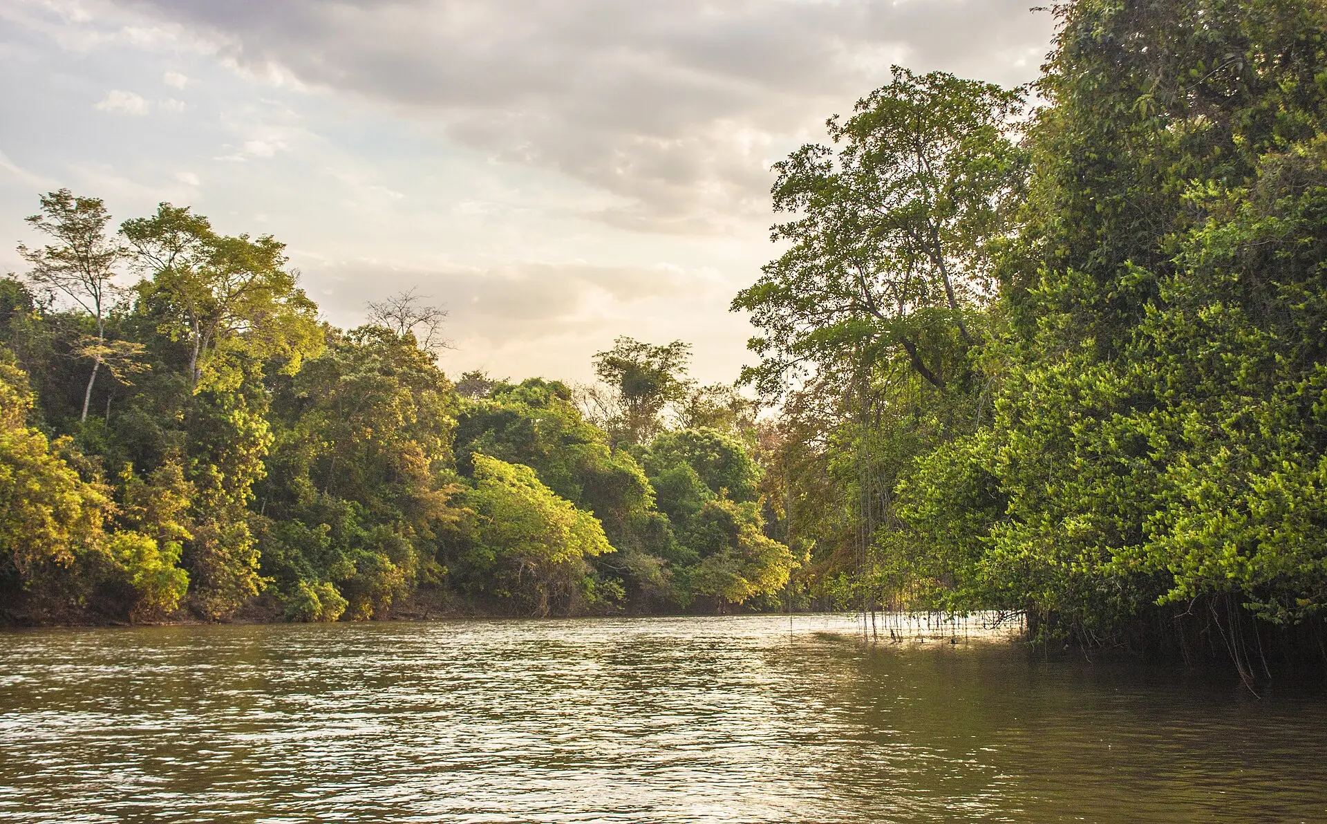 Rio Aquidauana entre mata ciliar