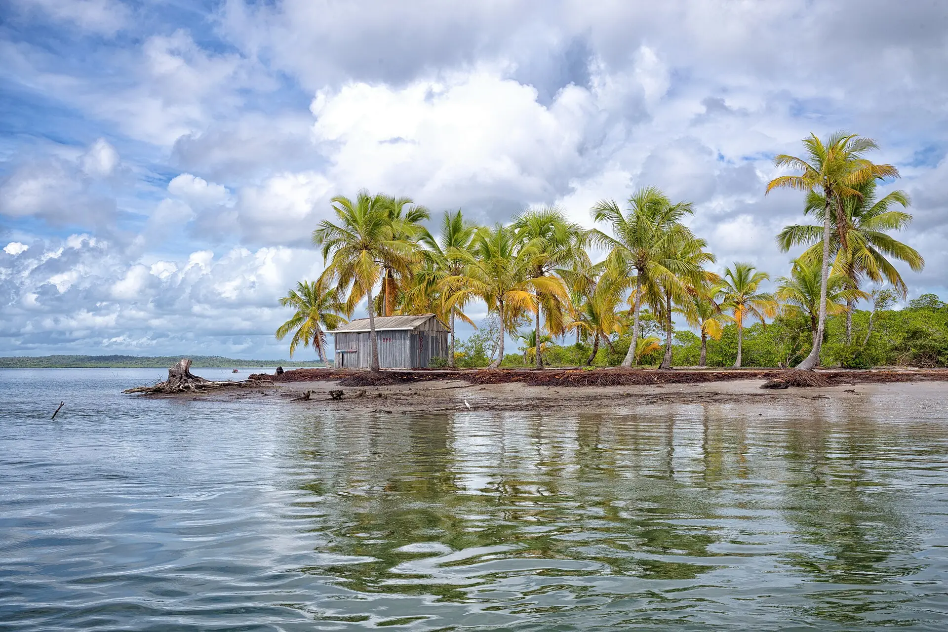 Ilha com coqueiral na Baía de Camamu, Bahia