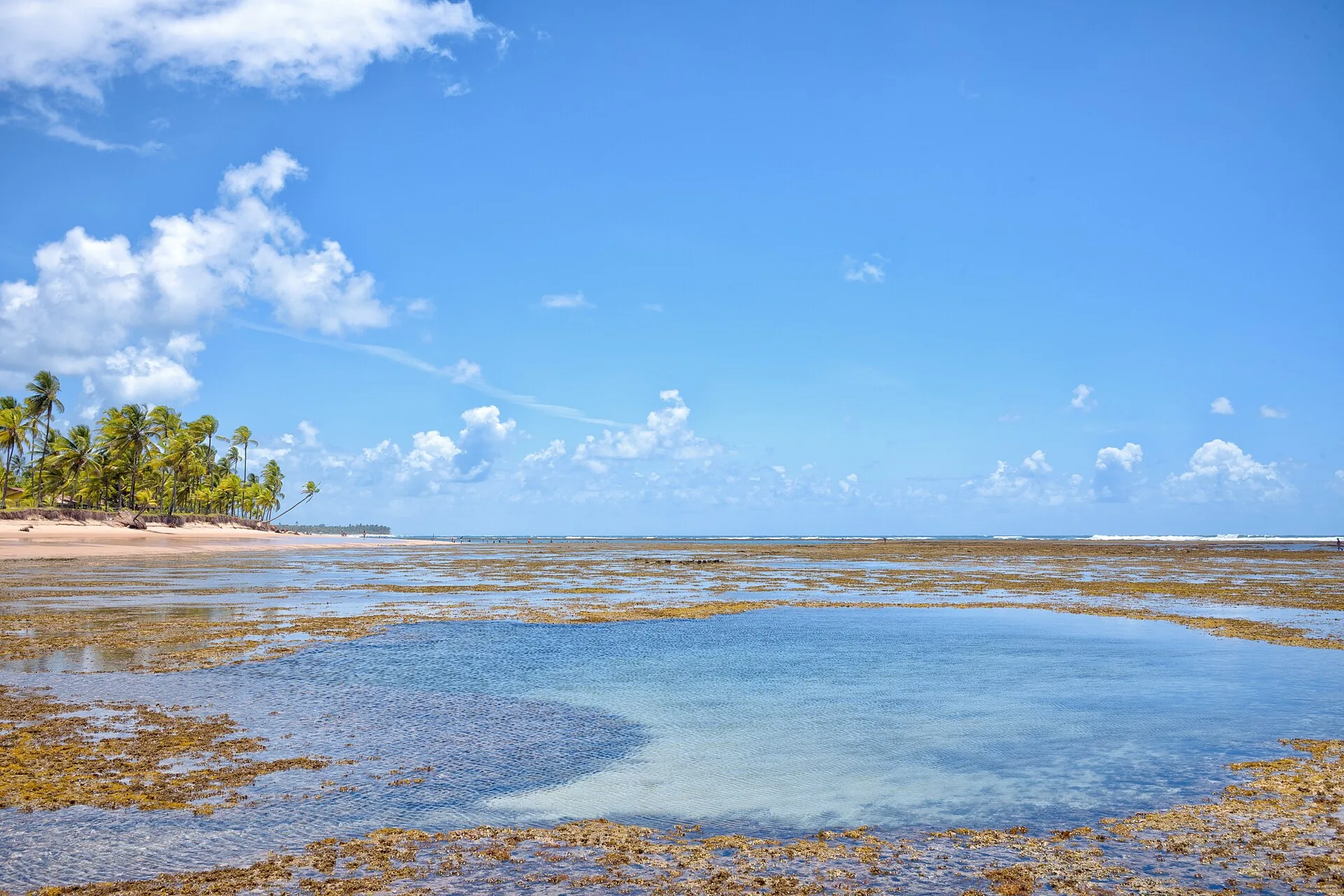 Landscape in Maraú, Bahia