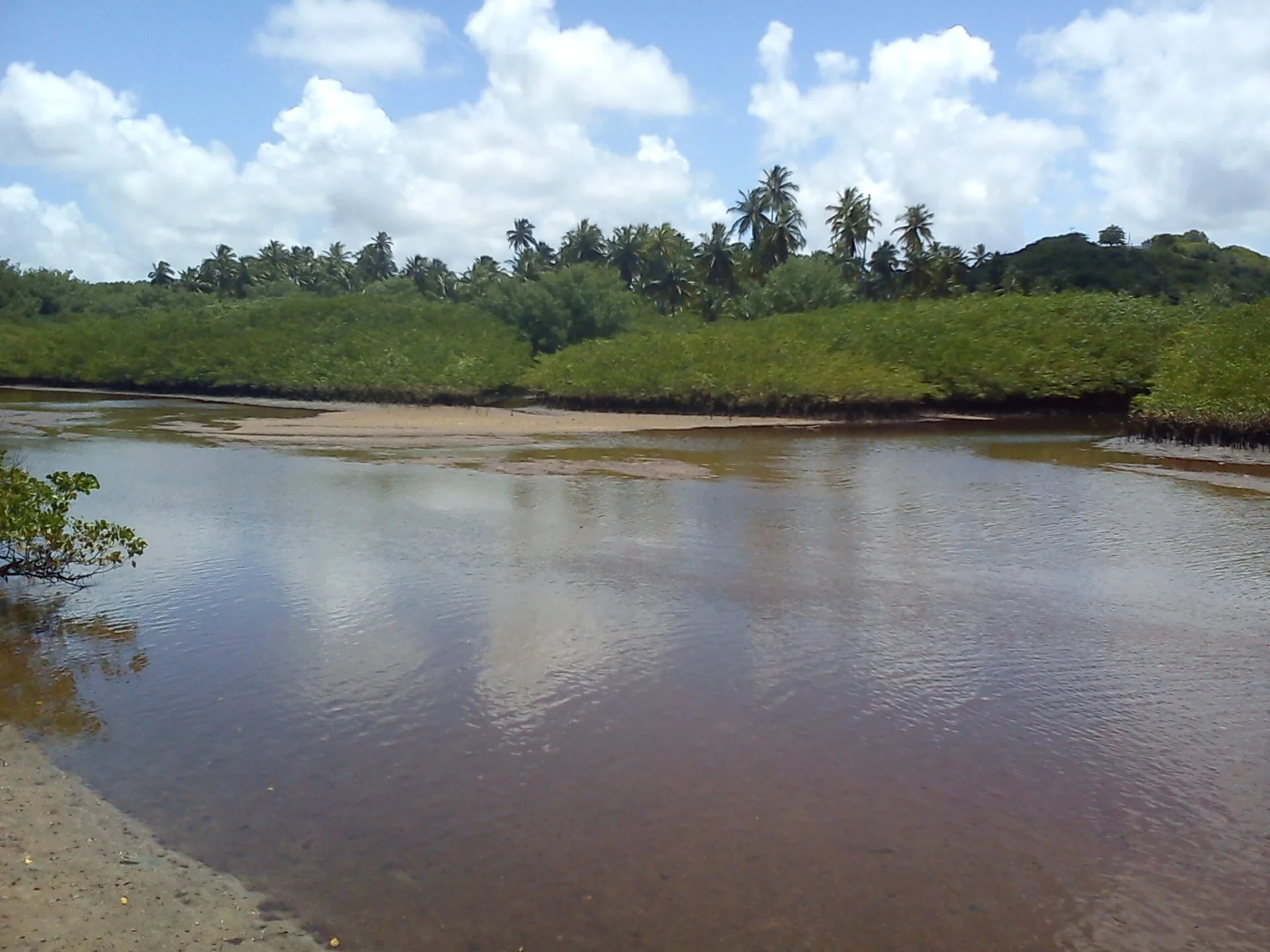 Landscape