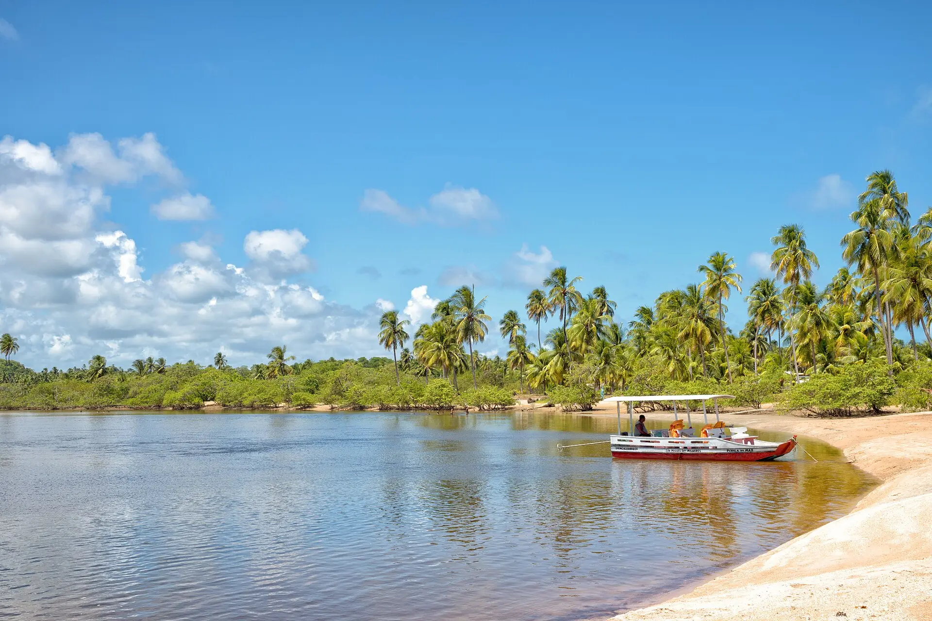 Rio Tatuamunha entre coqueirais