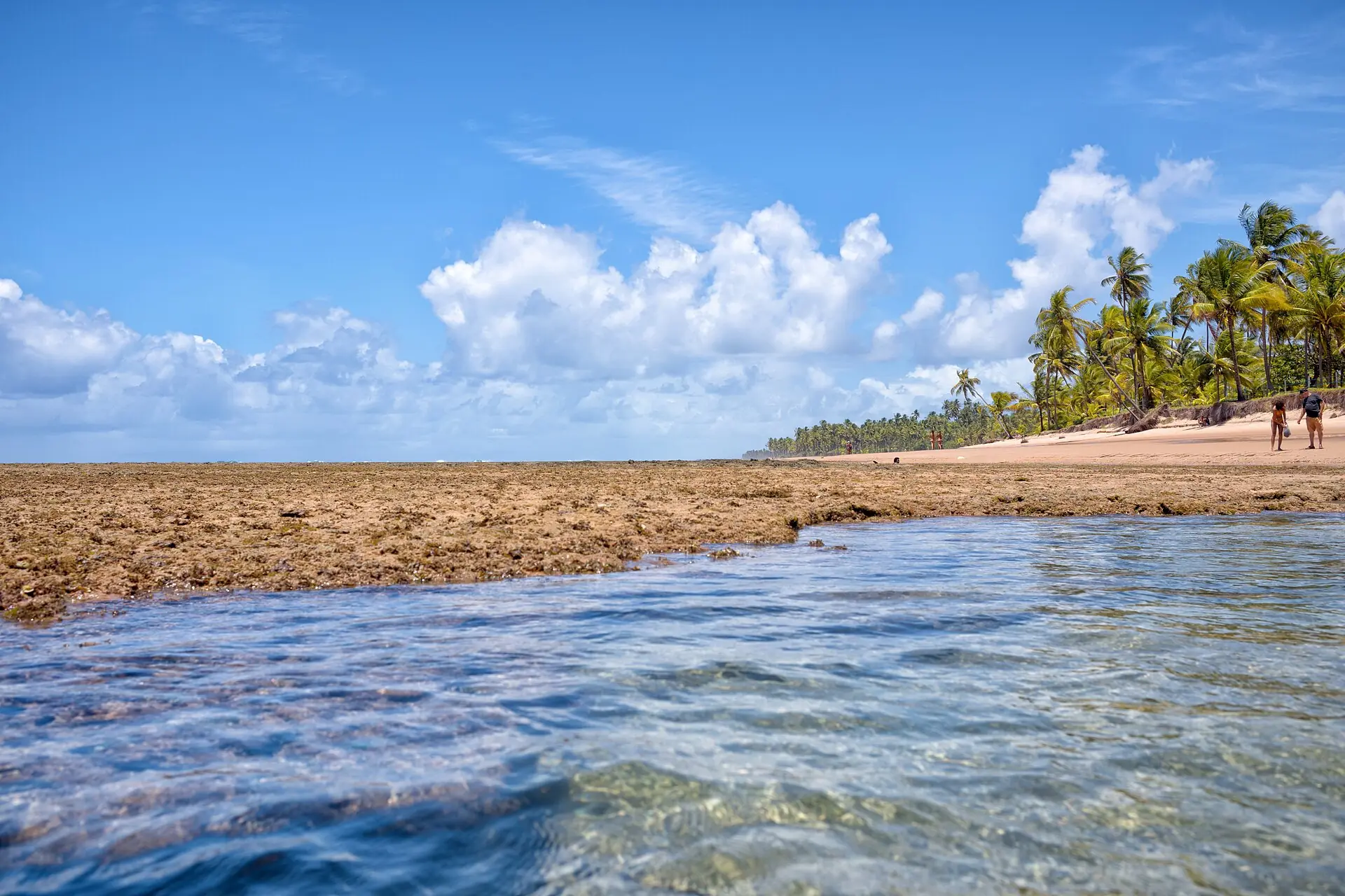 Recife de Taipu de Fora na maré baixa